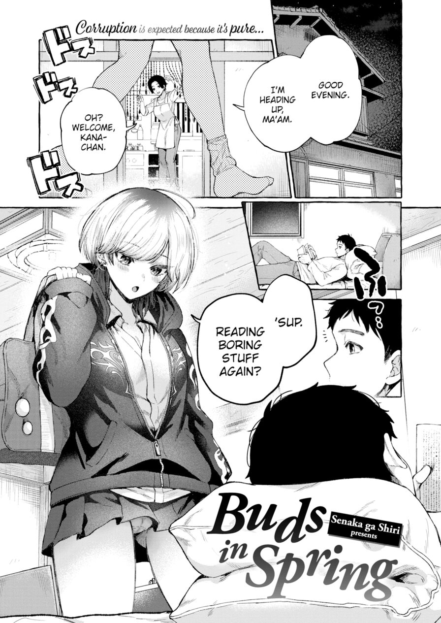 [Senaka ga Shiri] Buds in Spring (Comic Kairakuten 2024-01)